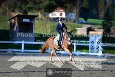 ref. photo 3554522