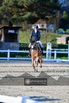 ref. photo 3554524