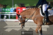 ref. photo 3554533