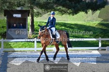 ref. photo 3554560
