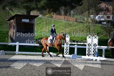 ref. photo 3554565