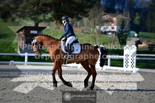 ref. photo 3554568