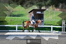 ref. photo 3554570