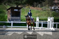 ref. photo 3554571