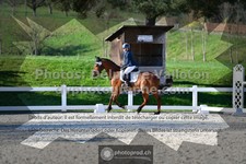 ref. photo 3554576