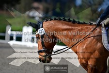 ref. photo 3554584