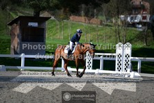 ref. photo 3554591