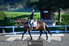 ref. photo 3554594
