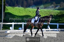 ref. photo 3554596