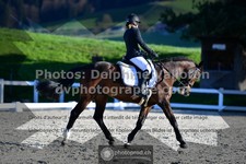 ref. photo 3554604