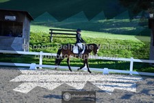 ref. photo 3554605