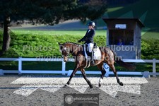 ref. photo 3554607