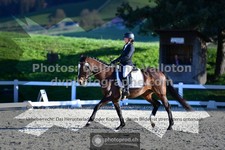 ref. photo 3554608