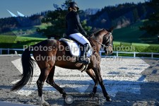 ref. photo 3554611
