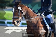 ref. photo 3554616