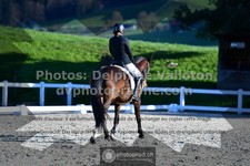 ref. photo 3554626
