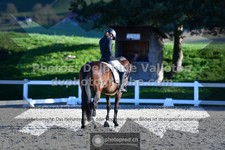 ref. photo 3554627