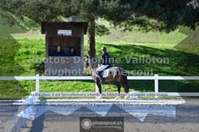 ref. photo 3554632