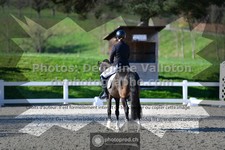ref. photo 3554637