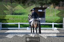 ref. photo 3554638
