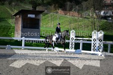 ref. photo 3554652