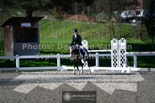 ref. photo 3554660