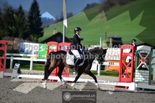 ref. photo 3554668