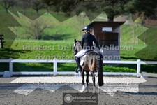 ref. photo 3554678