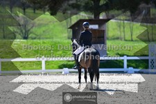 ref. photo 3554686