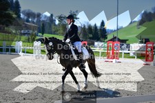 ref. photo 3554701