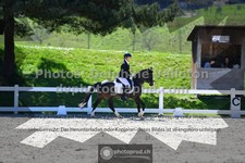 ref. photo 3554708