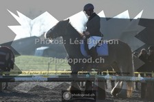 ref. photo 3554746