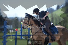 ref. photo 3554754