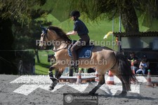 ref. photo 3554768