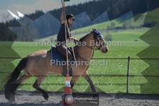 ref. photo 3554769