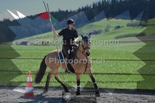 ref. photo 3554770