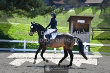 ref. photo 3554800