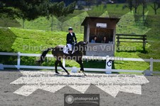 ref. photo 3554801
