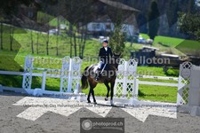 ref. photo 3554802