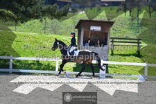 ref. photo 3554811