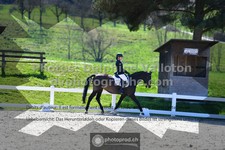 ref. photo 3554817