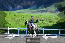 ref. photo 3554841