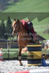 ref. photo 3554853