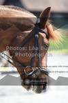 ref. photo 3554866