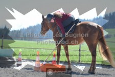 ref. photo 3554871