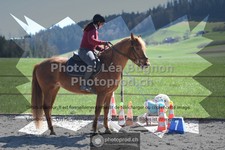 ref. photo 3554881