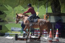 ref. photo 3554884