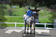 ref. photo 3554896