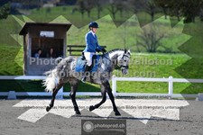 ref. photo 3554901