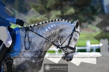 ref. photo 3554921